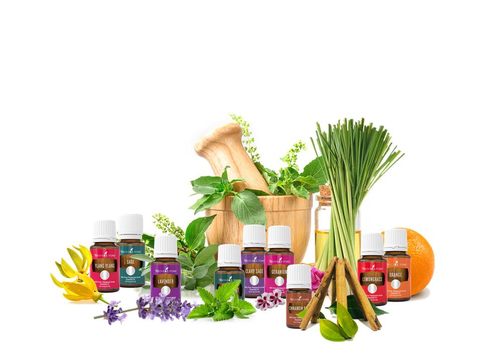 Effects of essential oils on central nervous system Focus on mental